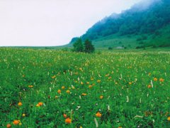 門(mén)頭溝百花山乘車線路,百花山自駕車線路圖圖片